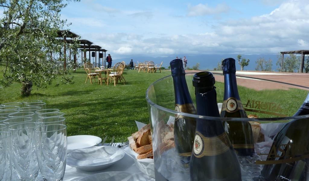 Agriturismo La Forra Cavriglia Dış mekan fotoğraf