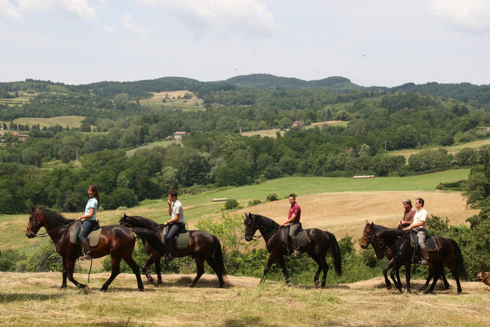 Agriturismo La Forra Cavriglia Dış mekan fotoğraf