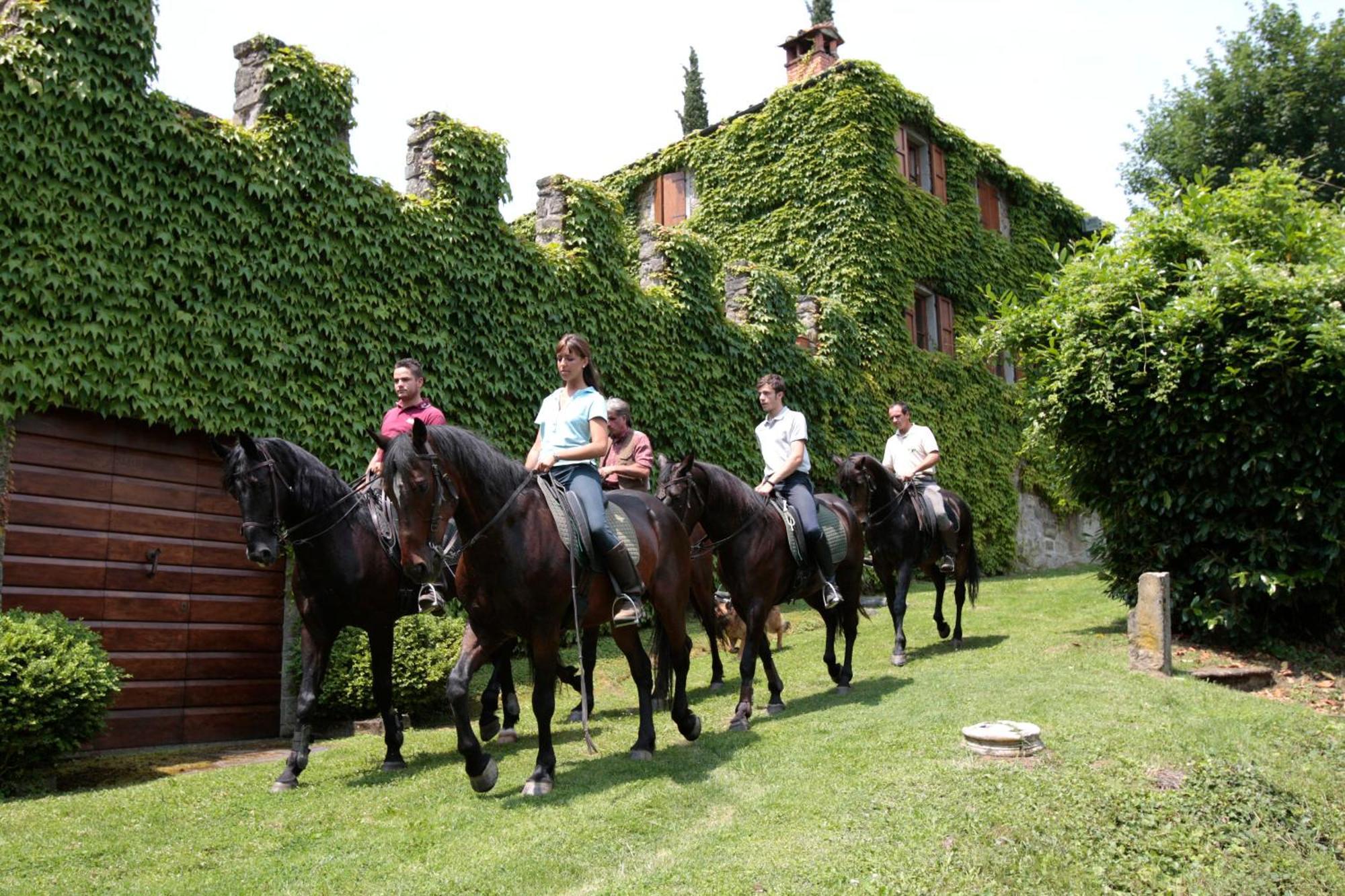 Agriturismo La Forra Cavriglia Dış mekan fotoğraf