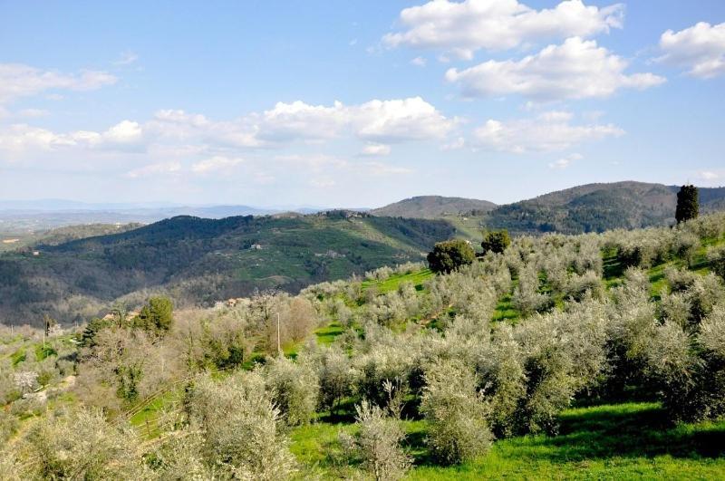 Agriturismo La Forra Cavriglia Oda fotoğraf