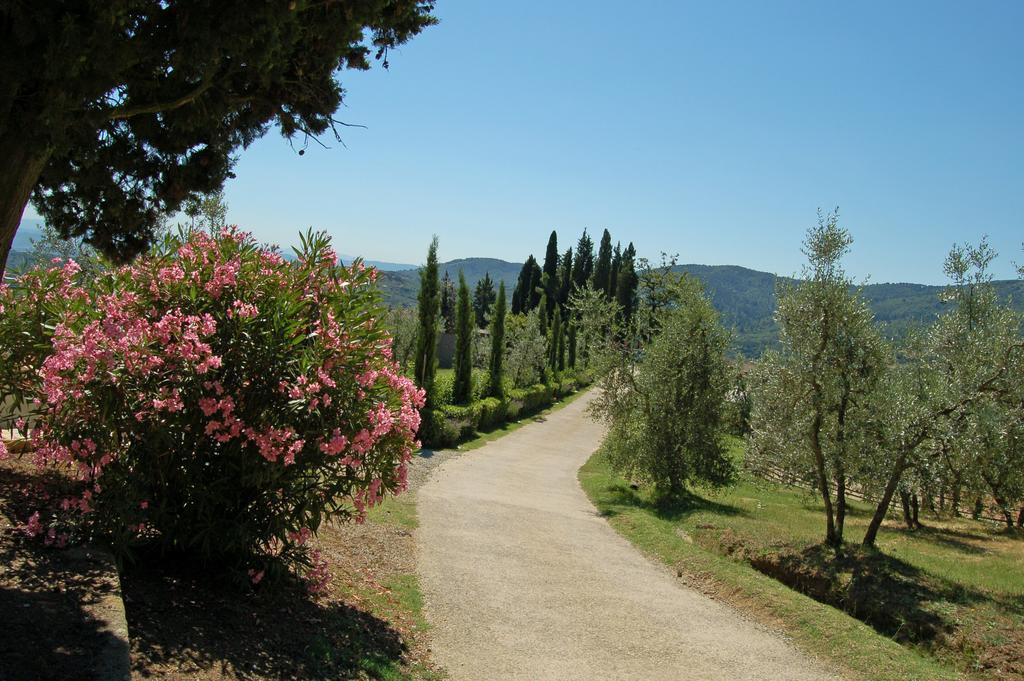 Agriturismo La Forra Cavriglia Dış mekan fotoğraf